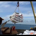 Pelabuhan-1705415969