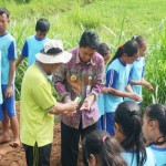 Wakil Bupati Gunungkidul dukung kebun sekolah lahirkan petani milenial-1704436790