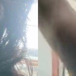 Mawar AFI-1713220274