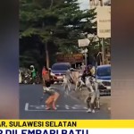 Bentrok Manusia Silver dan Satpol PP-1747018641