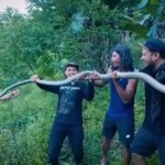 Petualang Nusantara-1748688428