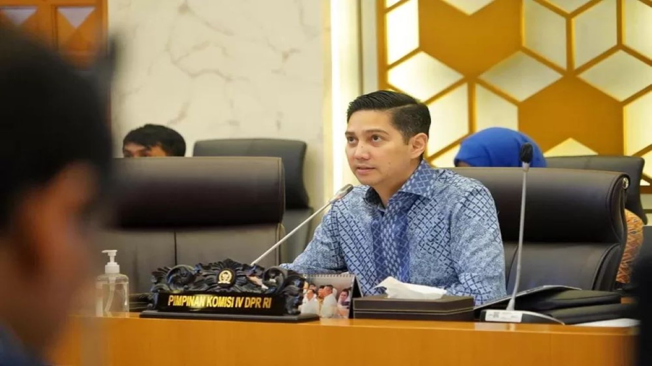 Ketua Fraksi Partai Gerindra DPR RI Budisatrio Djiwandono/ist