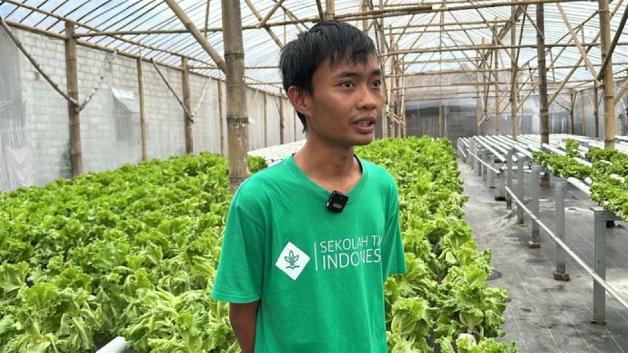 Petani Milenial Bersyukur Dilibatkan sebagai Pemasok Sayuran MBG