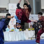 wushu-1765868505