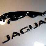 Jaguar-1783216506