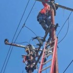 pln-1787208840