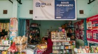 BRILink-1790666781