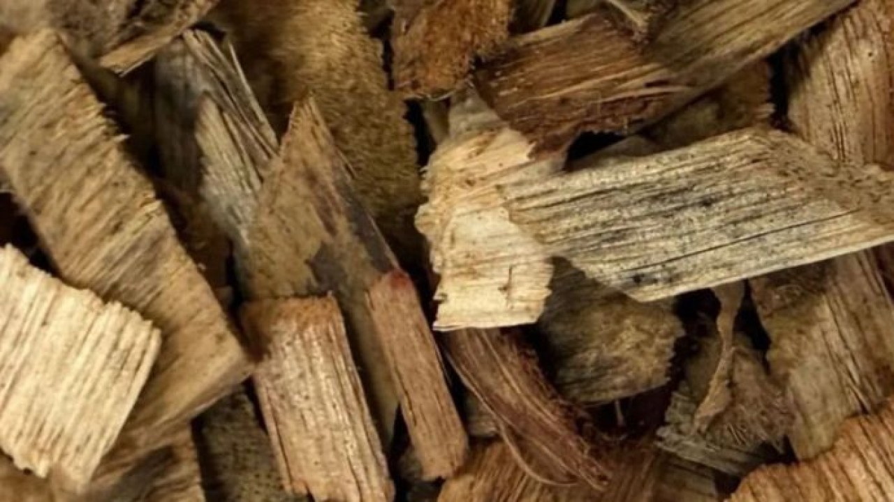 Ilustrasi - Woodchip merupakan salah satu limbah pertanian yang berpotensi dimanfaatkan sebagai sumber energi. (Antara)
