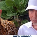 Tangkapan layar Nusantara TV-1793329417